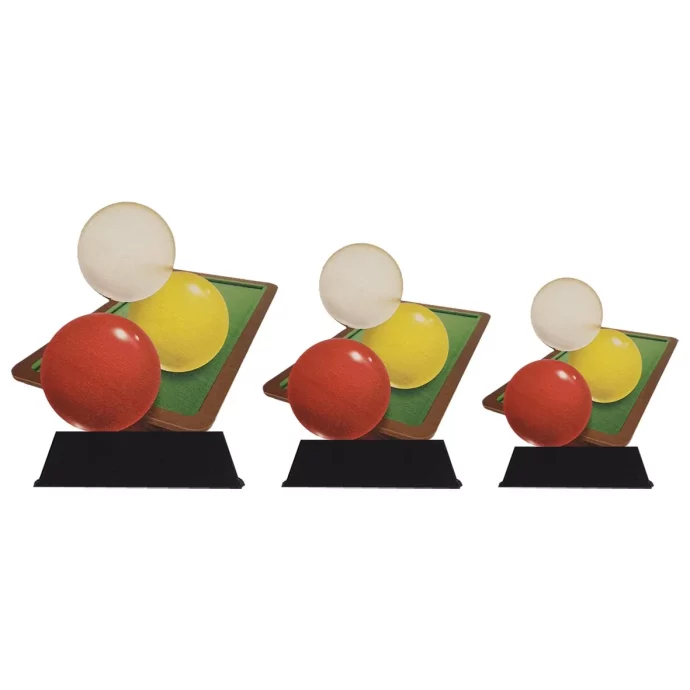 Wood Trophy Biljart